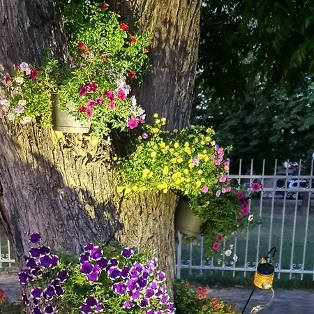 Apartment Grande Deluxe