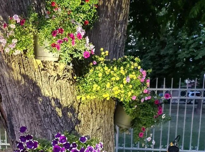 Appartement Grande Deluxe